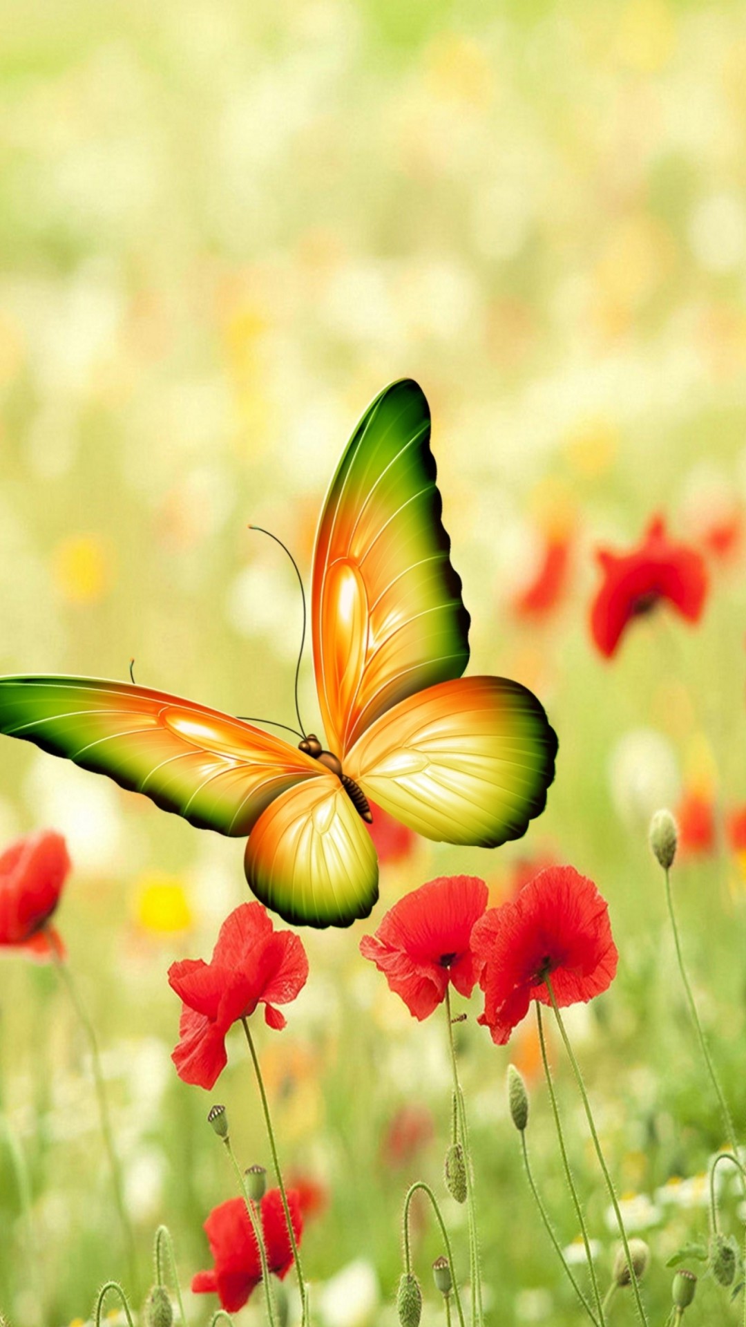 Farfalla, Papaveri, Prato, Full HD, sfondo per iPhone e Android
