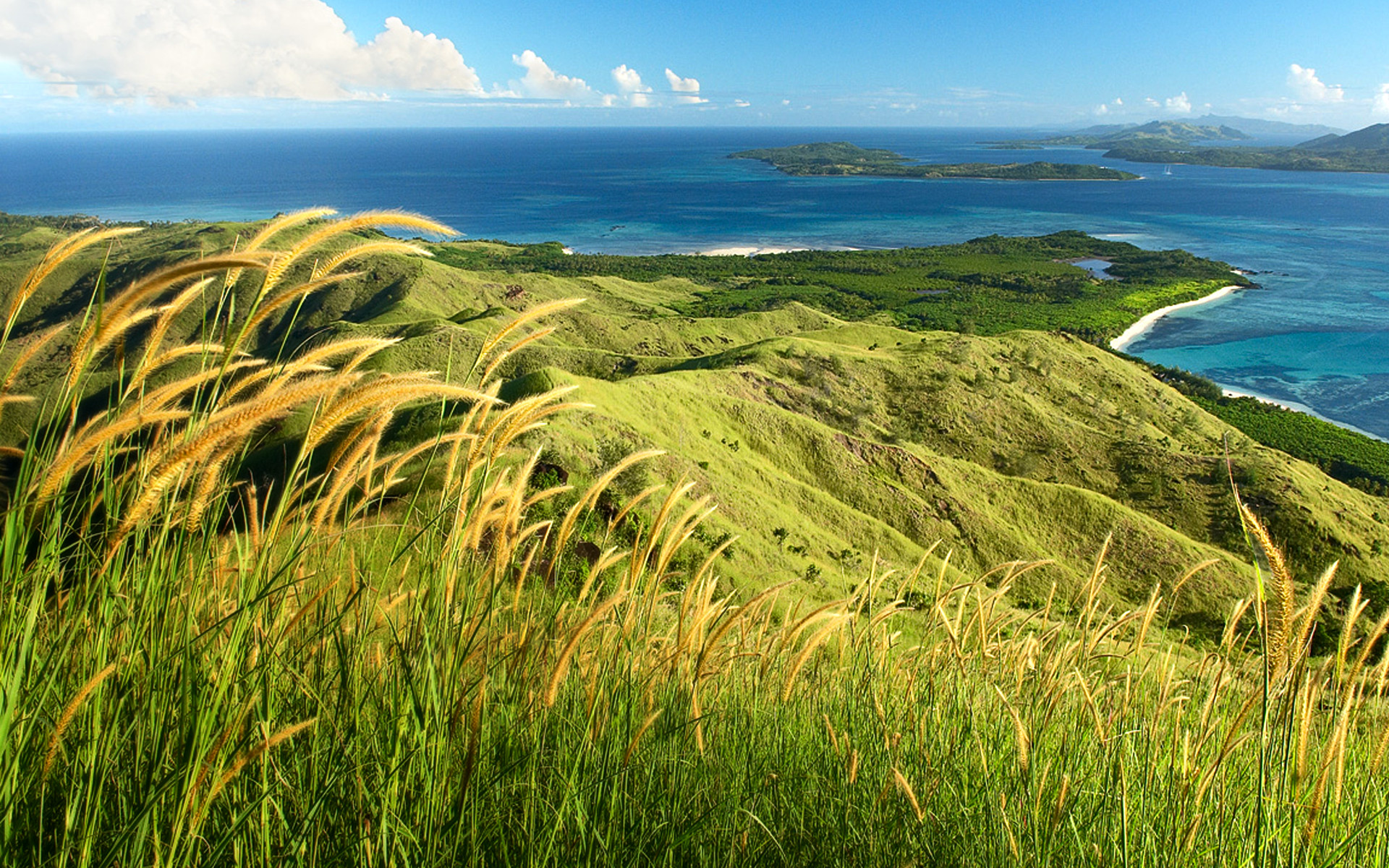 Isole Fiji, Colline, Erba alta, Mare, Paesaggio, sfondo Windows 10 Full HD
