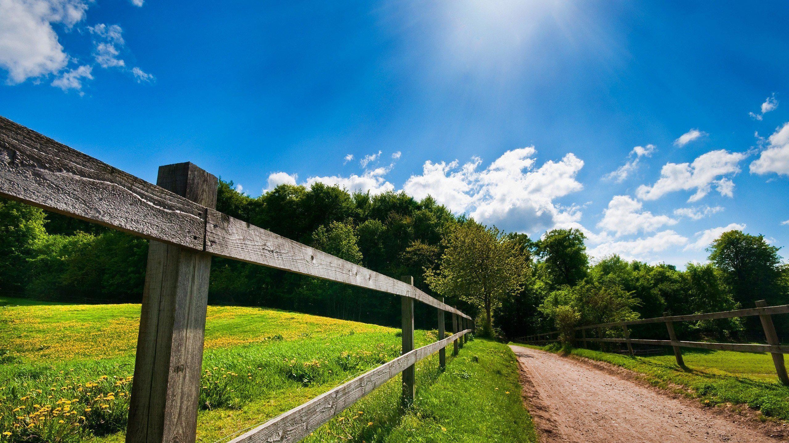 Staccionata, Sentiero di campagna, Prato, Cielo azzurro, Sole, 2K, sfondo per portatile
