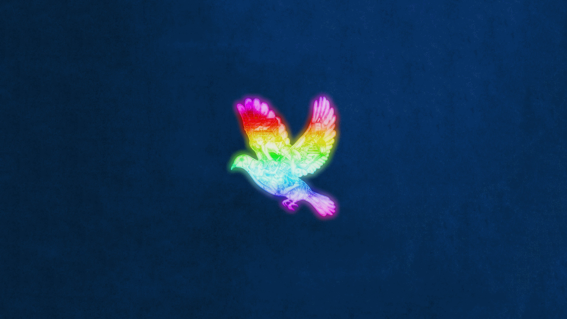 Coldplay, Colomba, Arcobaleno, Sfondo blu, Minimalista, Full HD, wallpaper desktop