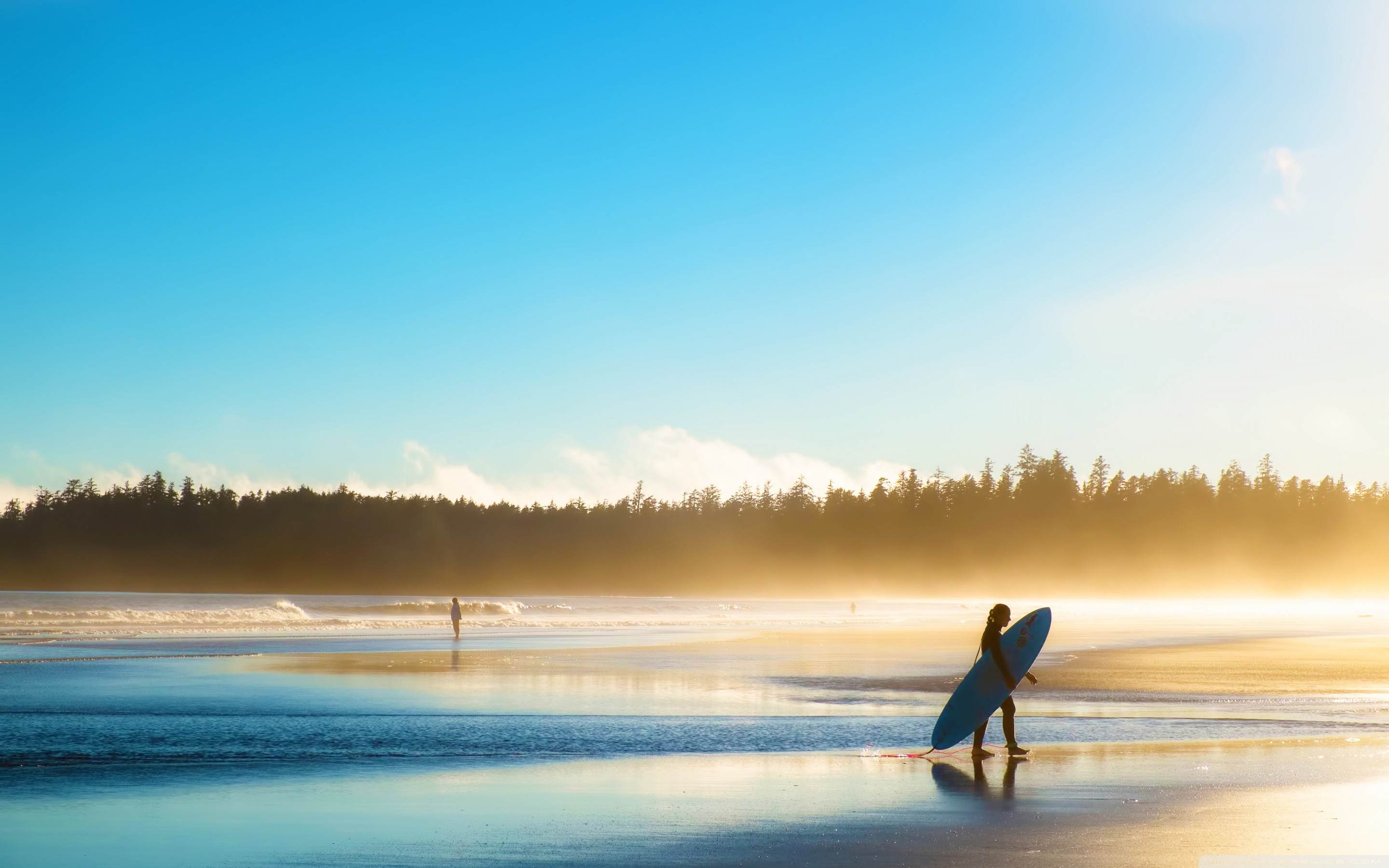 Surfista, Spiaggia, Tavola da surf, Alba, Nebbia, 2K, wallpaper desktop