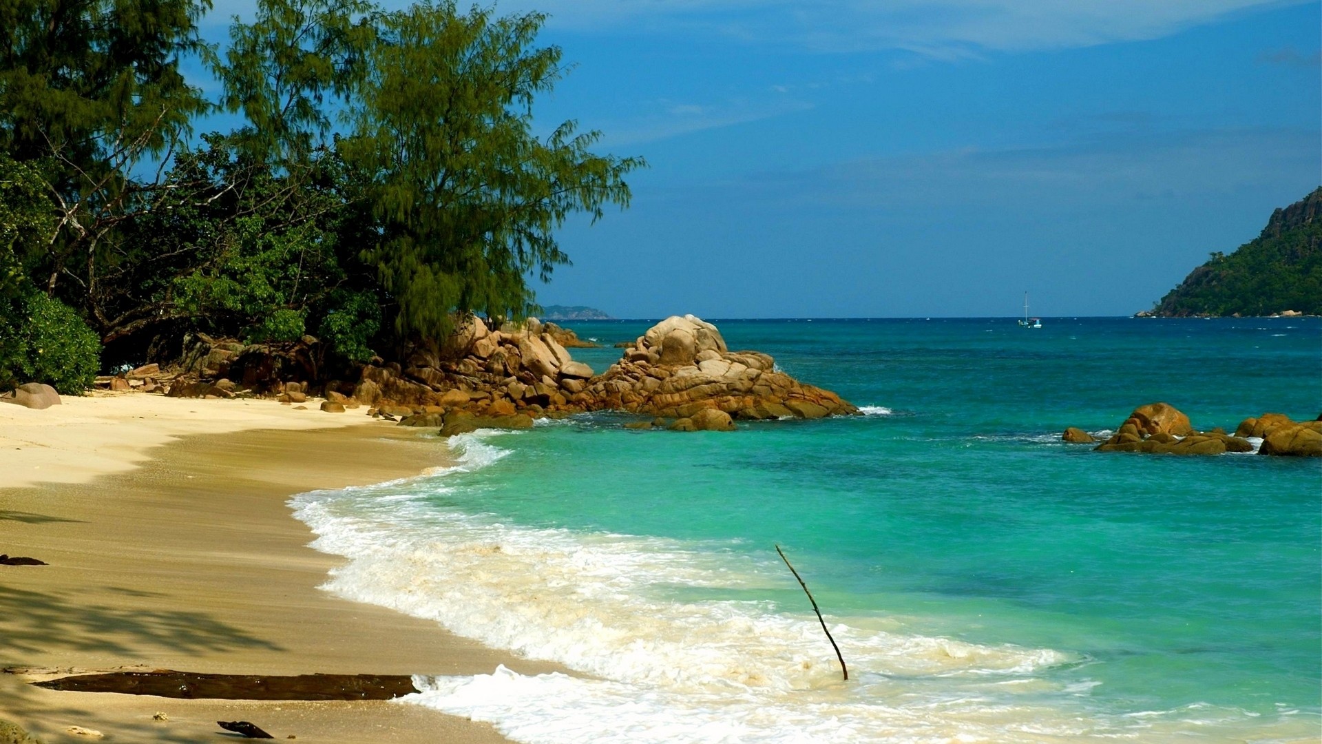 Spiaggia tropicale, Mare turchese, Palme, Scogli, sfondo Full HD per desktop