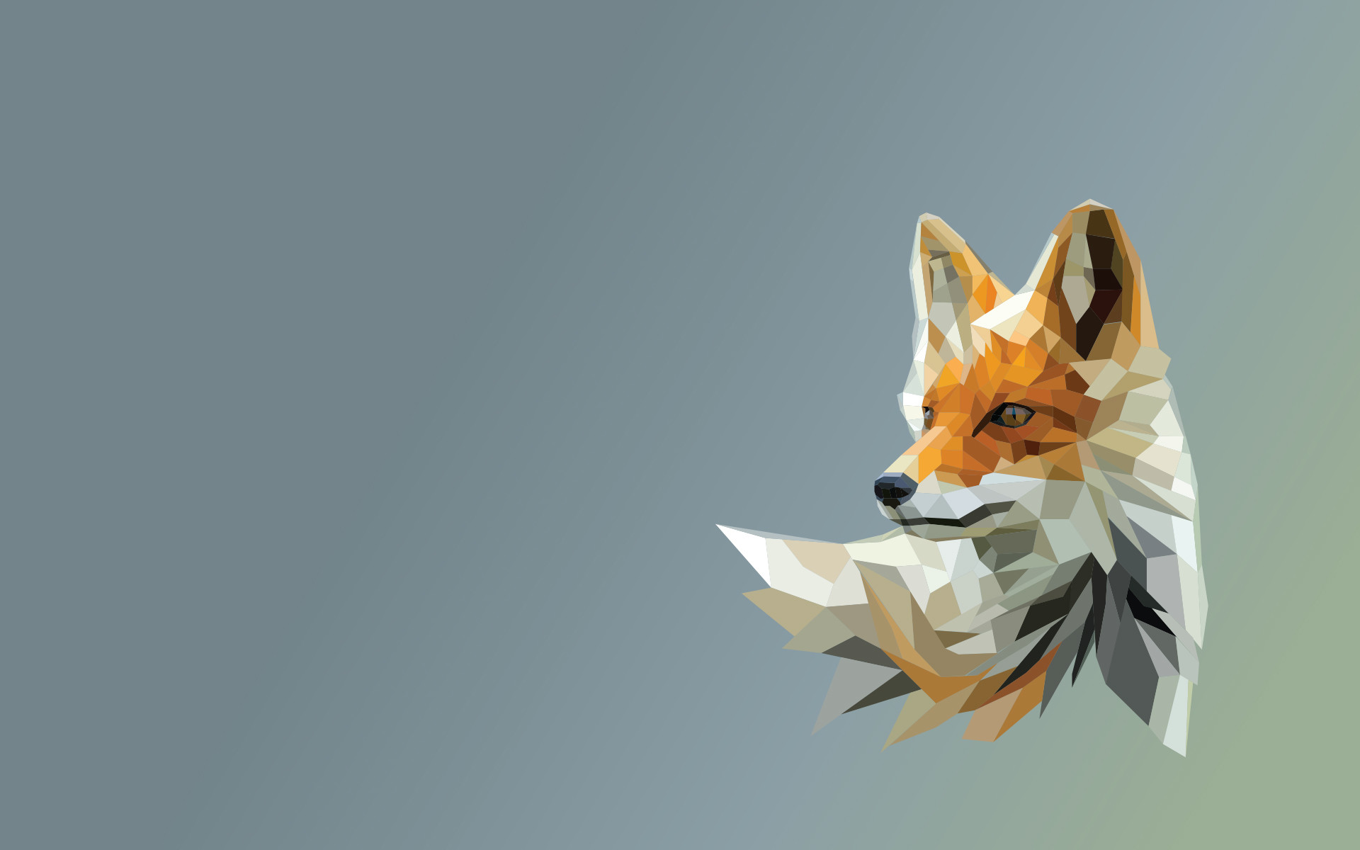 Volpe, Low poly, Minimalista, Full HD, wallpaper per PC