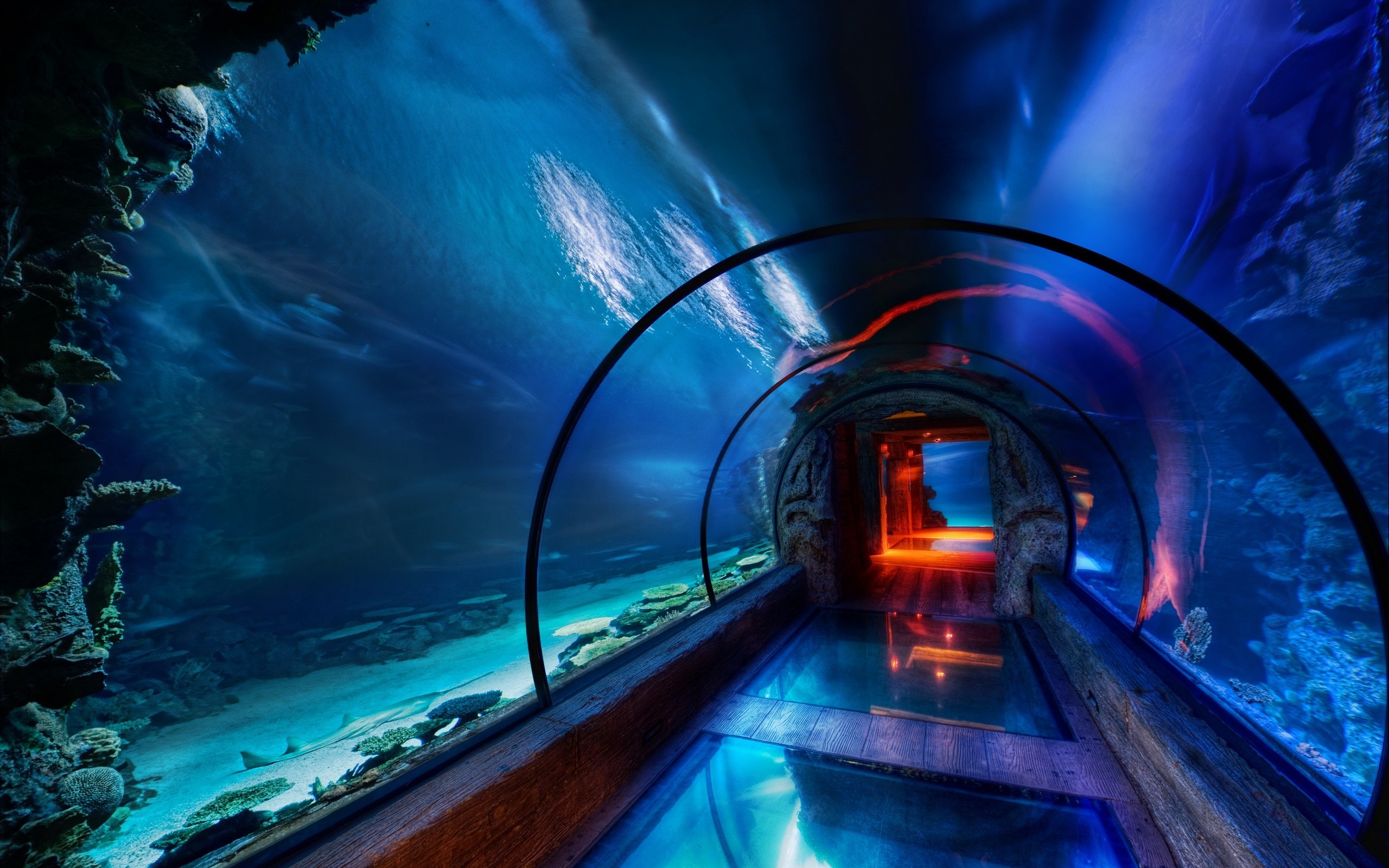 Tunnel acquario, Acquario, Vetro, Blu, 2560x1600, sfondo per PC