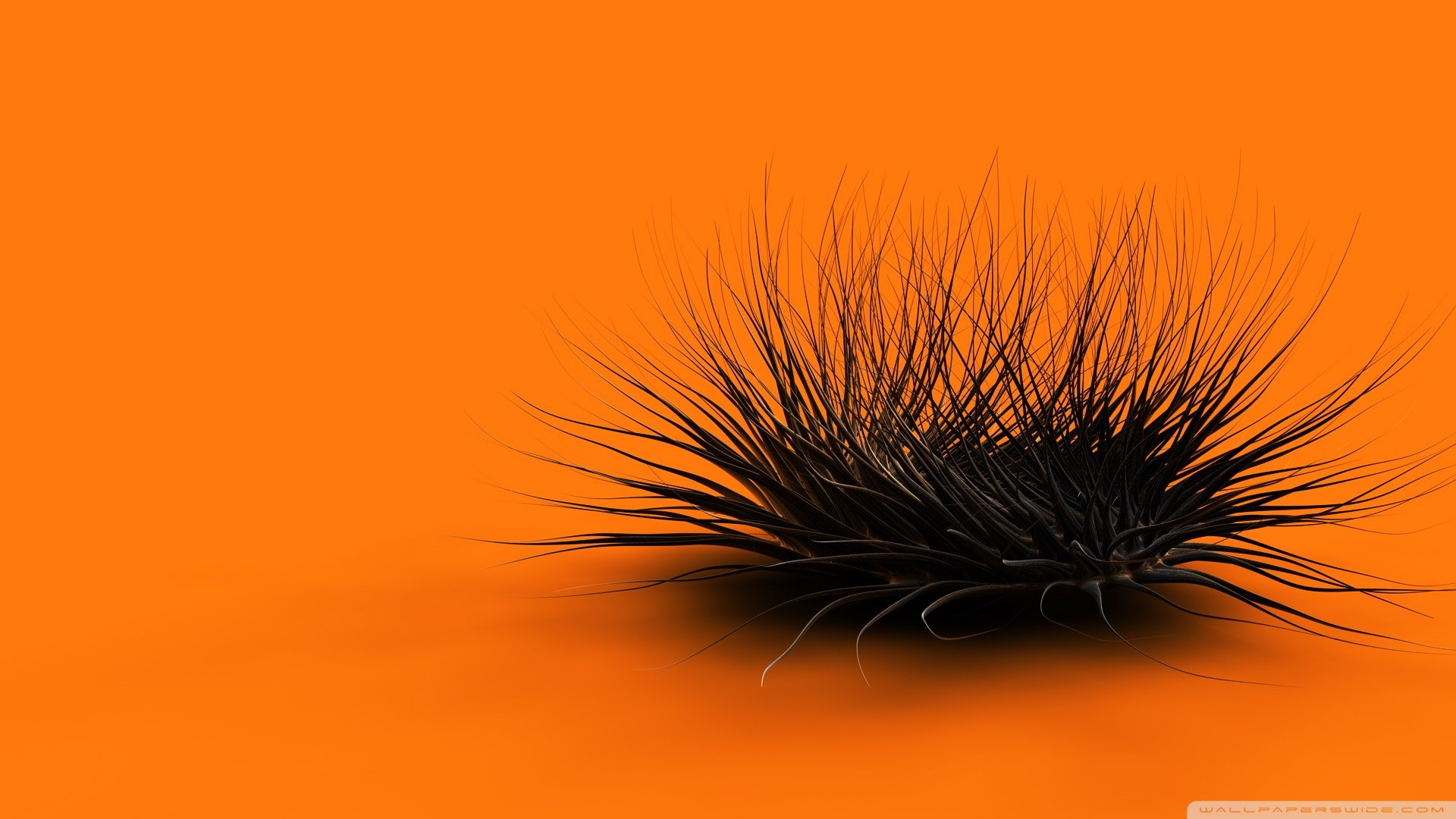 Pelo, Arte digitale, Arancione e nero, Full HD, wallpaper per PC