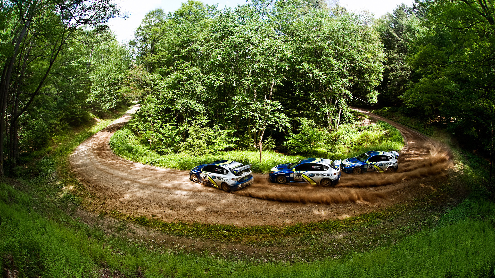 Subaru, Auto da rally, Tornante, Foresta, Vista aerea, 1920x1080, immagine di sfondo