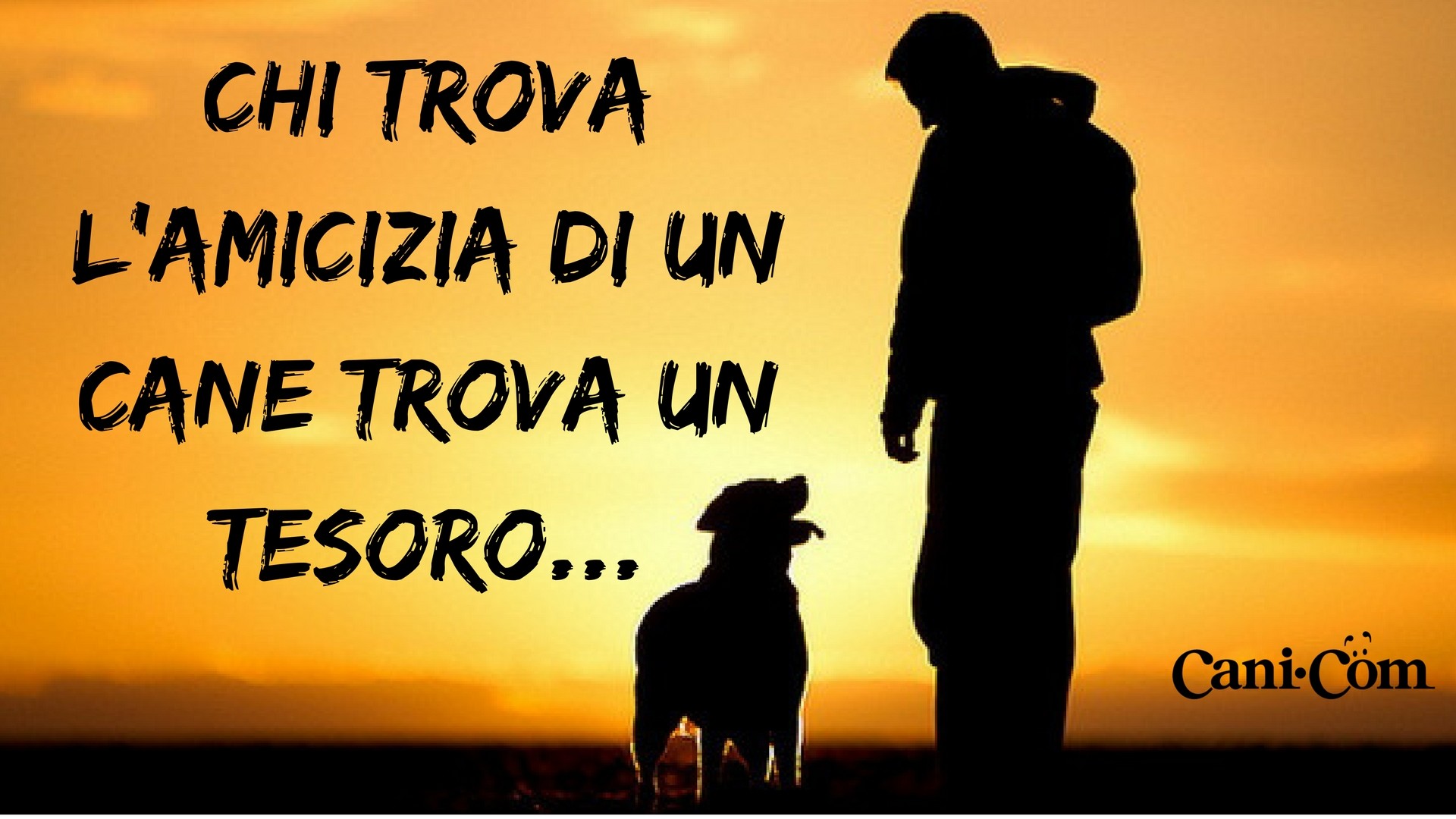 Chi trova l'amicizia di un cane trova un tesoro, Silhouette, Uomo e cane, Tramonto, sfondo 1080p