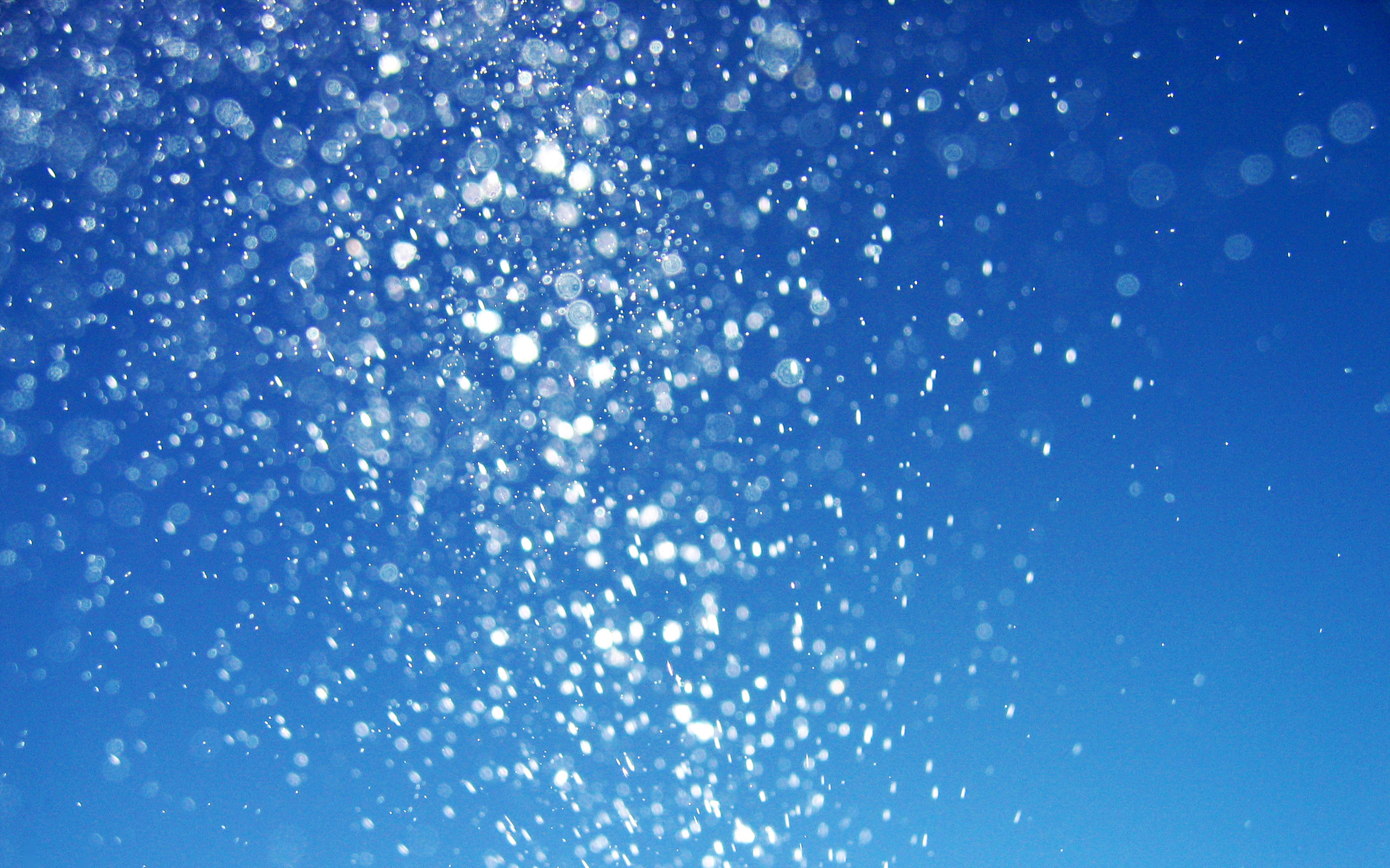 Bolle, Sott'acqua, Blu, 2560x1600, sfondo per PC