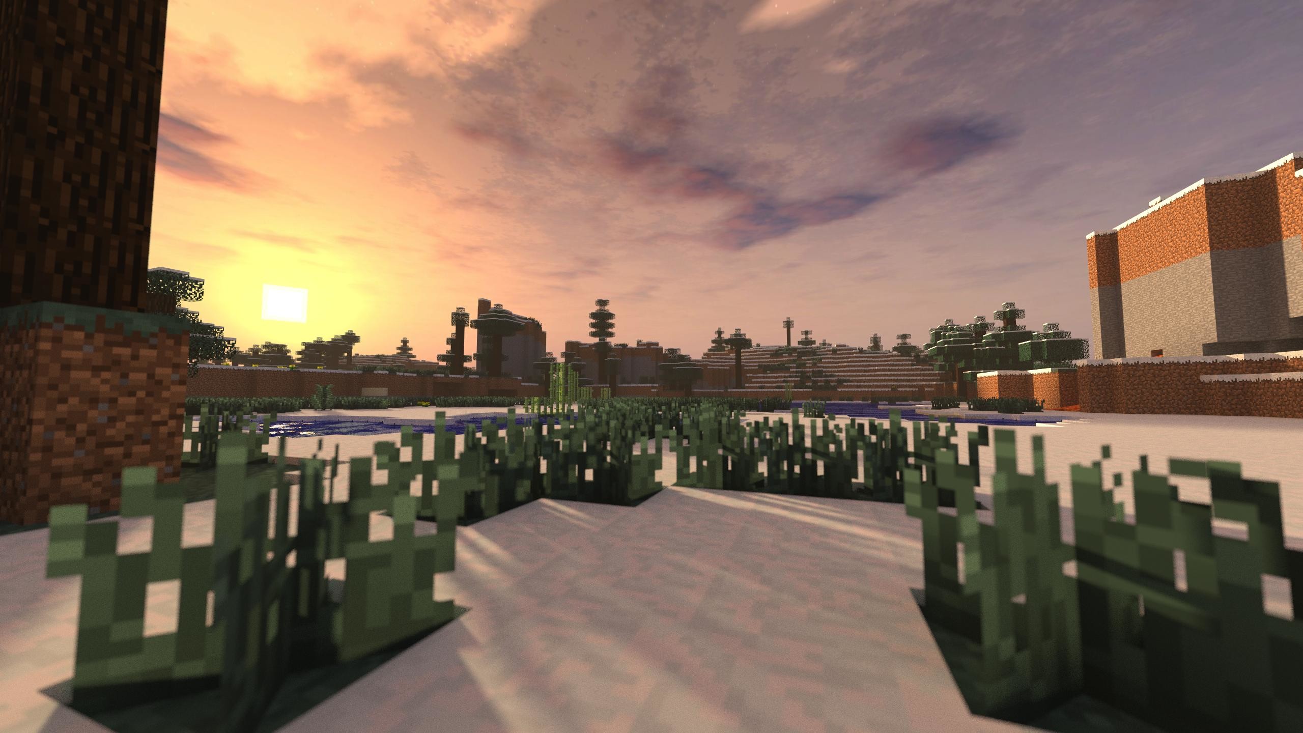 Minecraft, Tramonto, Deserto, Cactus, 2560x1440, immagine di sfondo