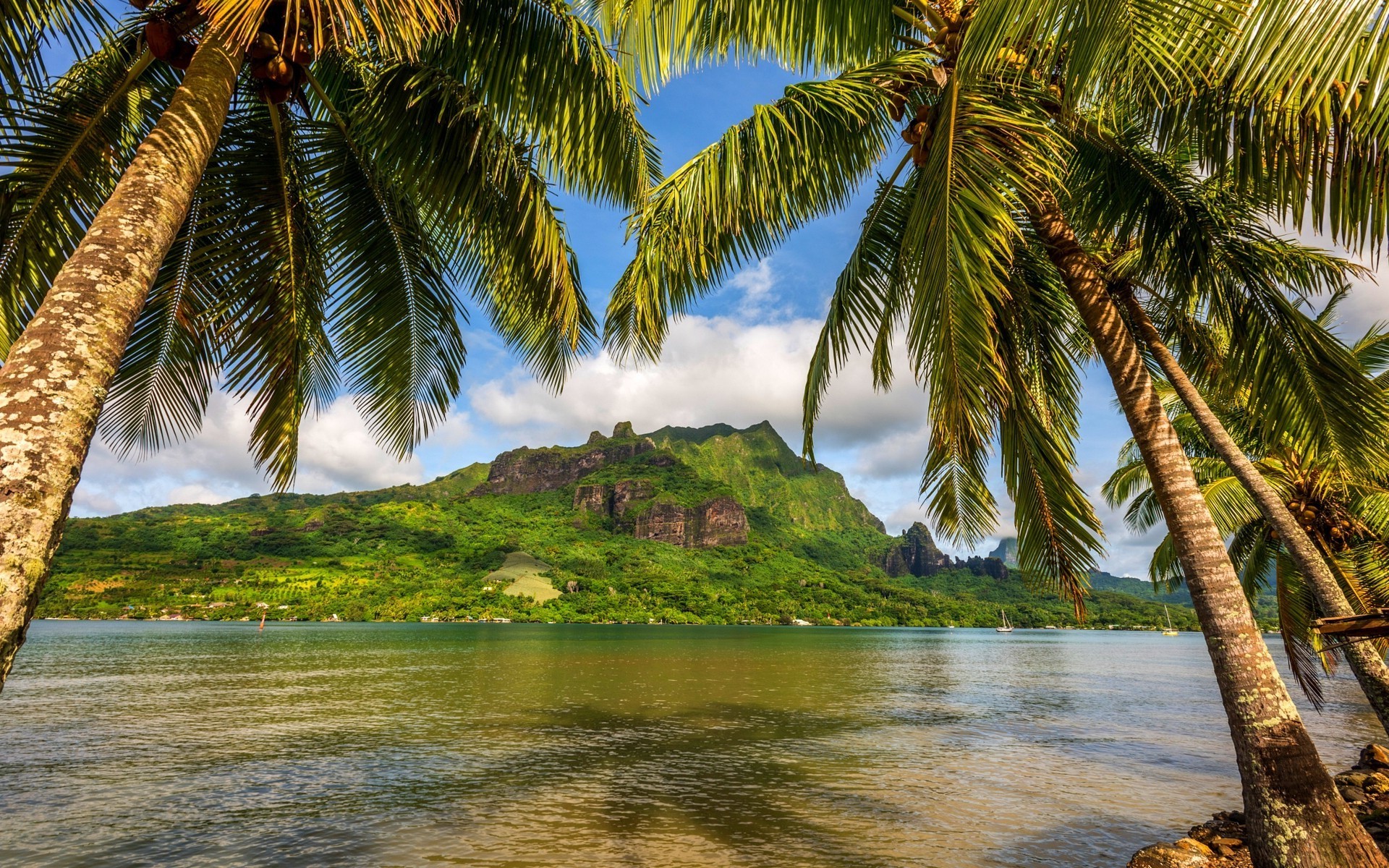 Bora Bora, Palme, Montagne, Laguna, 1920x1200, sfondo MacBook Pro