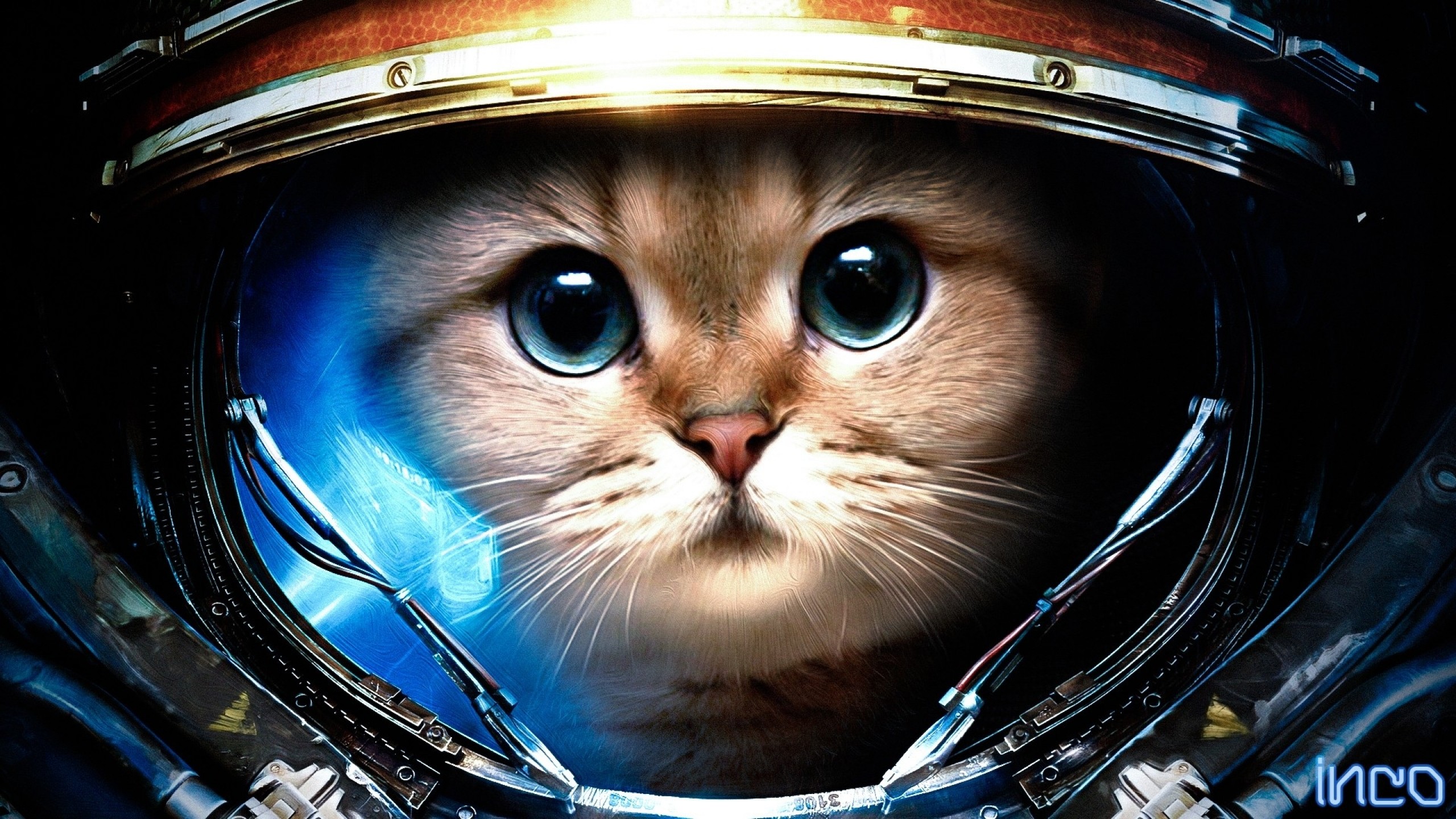 Gatto, Astronauta, Casco, Spazio, Divertente, 2K 1440p, sfondo desktop