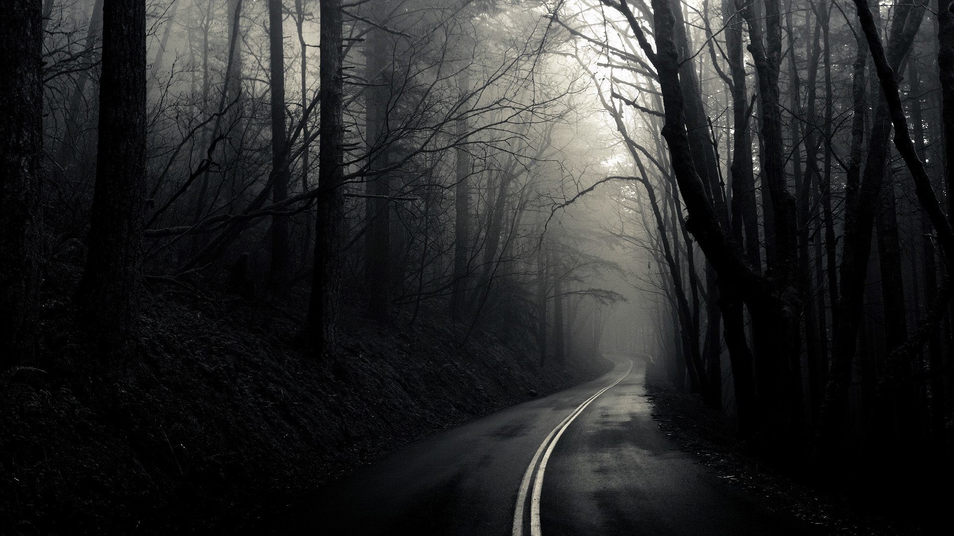 Strada nel bosco, Nebbia, Alberi spogli, Toni grigi, Full HD, sfondo per portatile