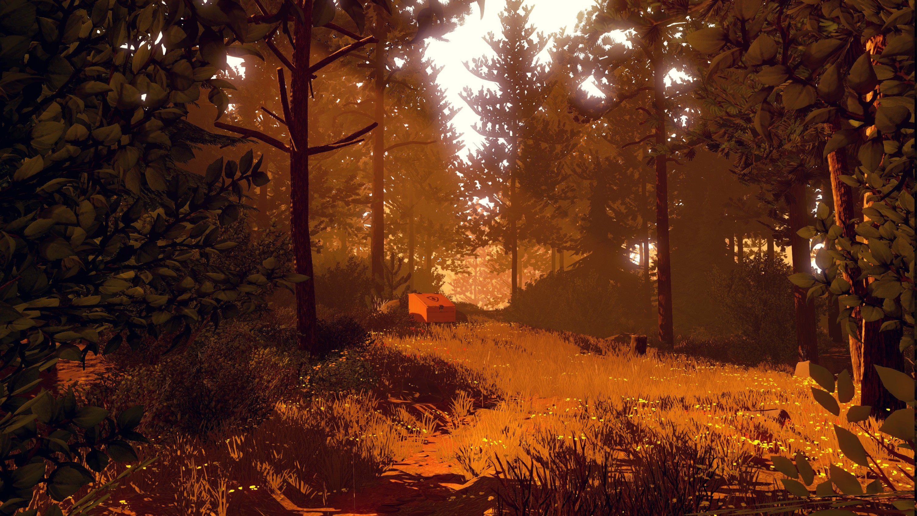 Firewatch, Bosco, Luce calda, Sentiero, 2K, sfondo desktop