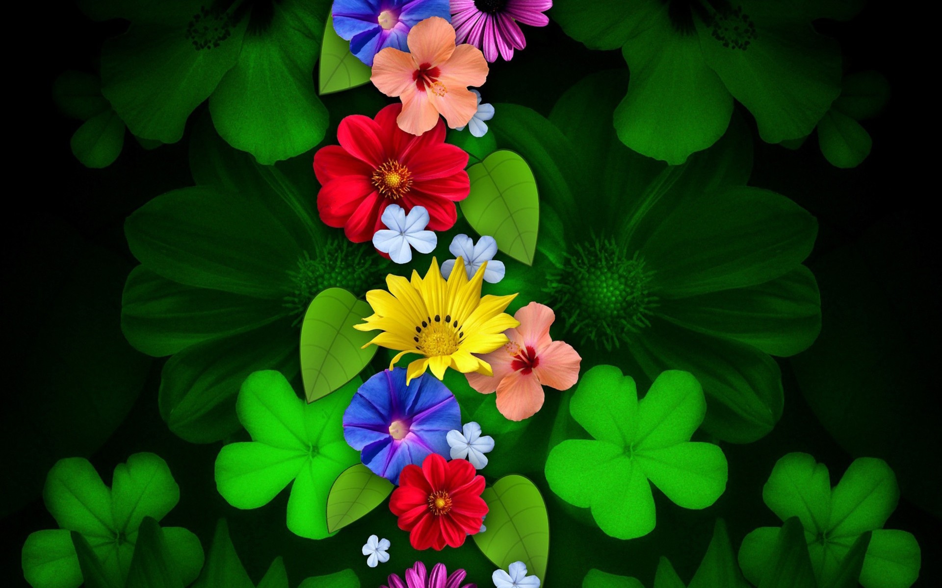 Fiori, Quadrifogli, Verde, Sfondo nero, Full HD, wallpaper per desktop