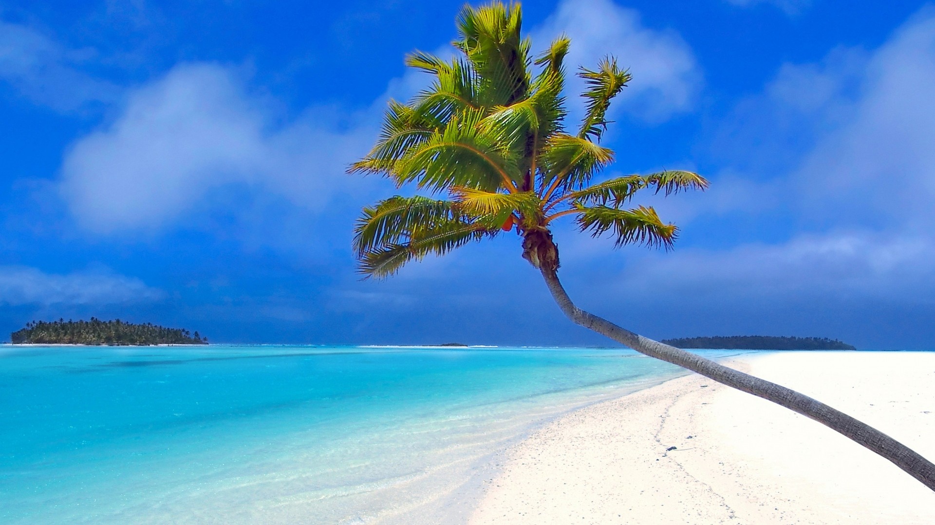 Maldive, Palma, Laguna turchese, Spiaggia, Full HD, sfondo per PC