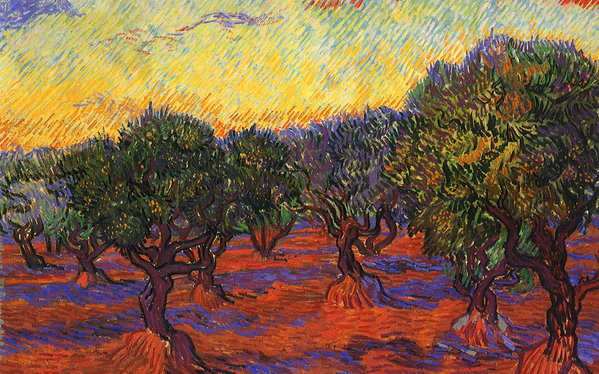 Uliveto, Vincent van Gogh, Post-impressionismo, Alberi, 1920x1200, immagine di sfondo